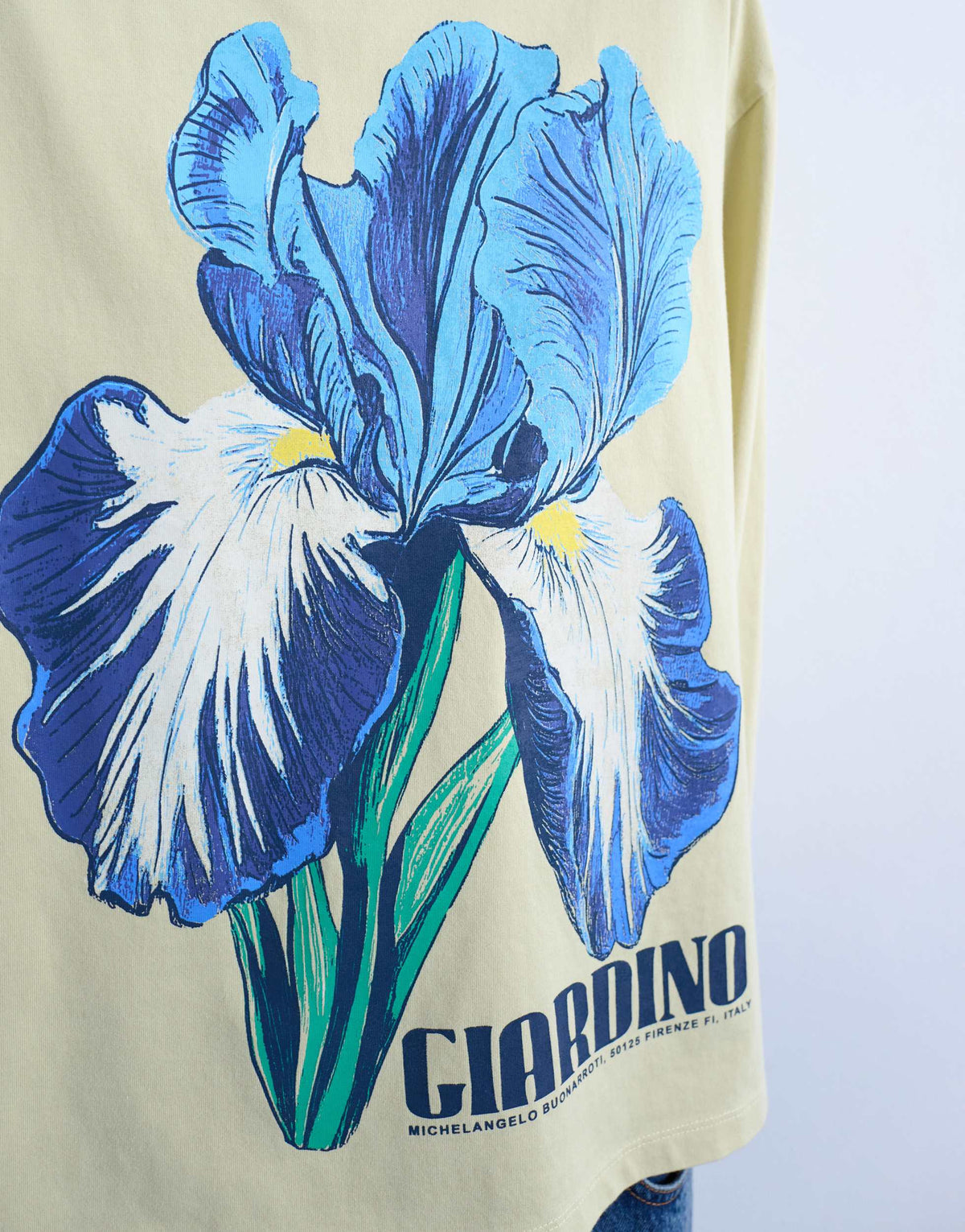 Topshop graphic Giardino Iris skater tee in green