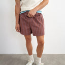 Topman micro fit stripe short in brown