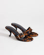 Topshop Nadine real hair on leather mid heeled mule with buckle in leopard print