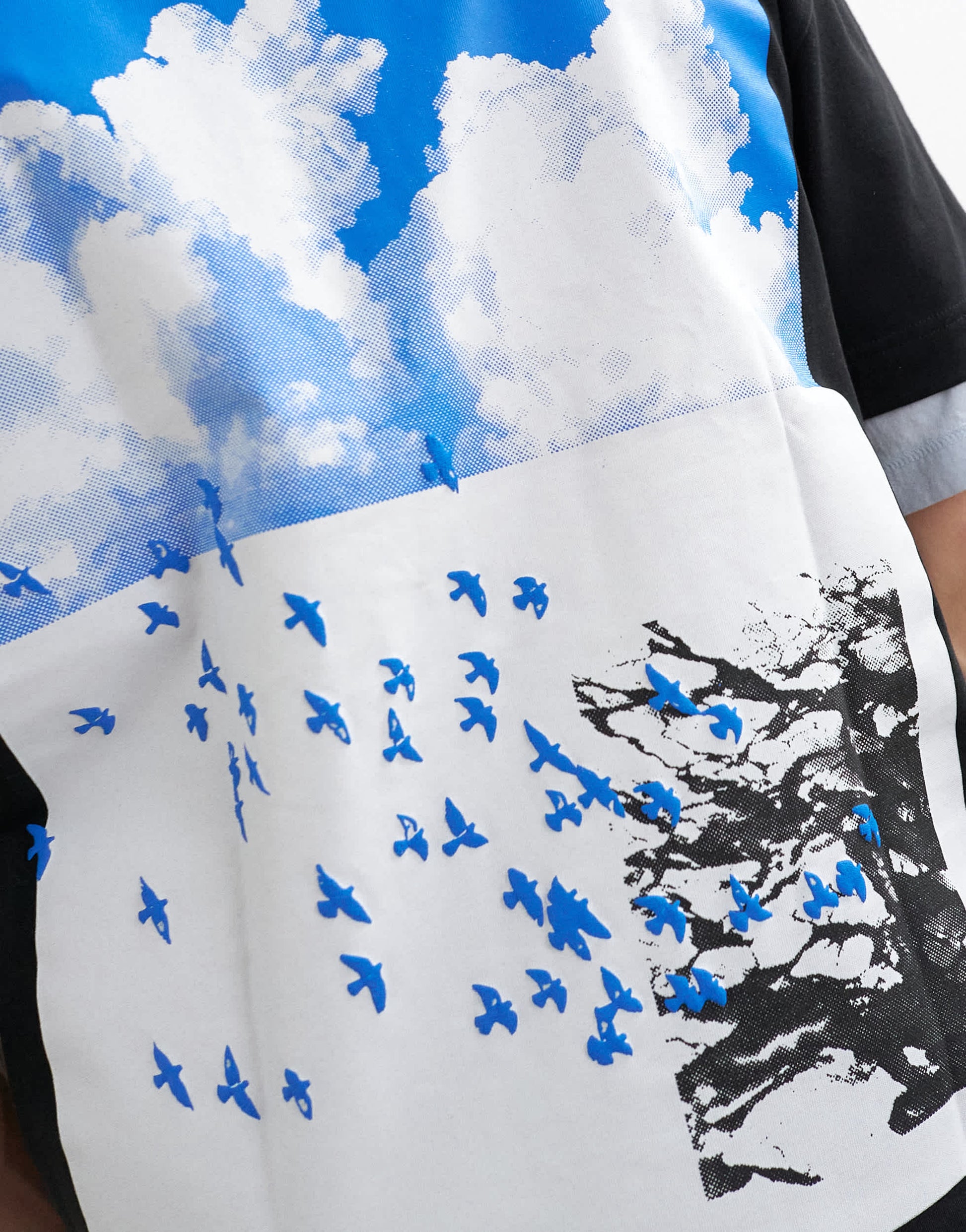 Topman relaxed fit t-shirt with front and back bird print in black